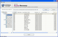 Microsoft Access Database Repair screenshot